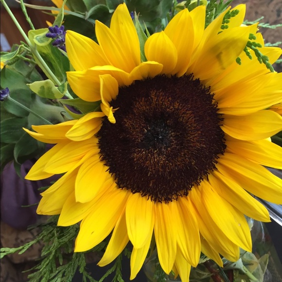 Meet your Posher, Courtney - Picture 1 of 1